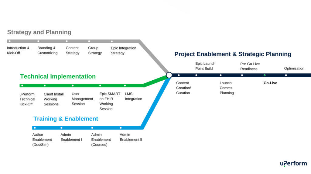 Diagram showing the implementation overview, with overlapping timelines for strategy and planning, technical implementation, and training enablement.